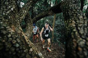 BIB: 
                            <button type="button" onclick="openModal(25392263)" class="btn btn-primary btn-sm float-right btn-popup" data-toggle="modal" data-target=".modal-high-quality">
                        <i class="fas fa-shopping-cart"></i> Add to Cart
                    </button>
                                            <button type="button" onclick="isThisMe(25392263, true)" class="btn btn-success btn-sm float-right btn-popup btn-isme hidden" data-toggle="tooltip" data-placement="bottom" title="นี่คือรูปของคุณใช่ไหม คลิกที่นี่เพื่อเอาเข้าอัลบั้ม">
                        <i class="fas fa-plus"></i> Add to album
                    </button>
                    <button type="button" onclick="isThisMe(25392263, false)" class="btn btn-warning btn-sm float-right btn-popup btn-isnotme hidden">
                        <i class="fas fa-ban"></i> Remove from album
                    </button>